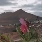 La Morreta I - Lanzarote Conil