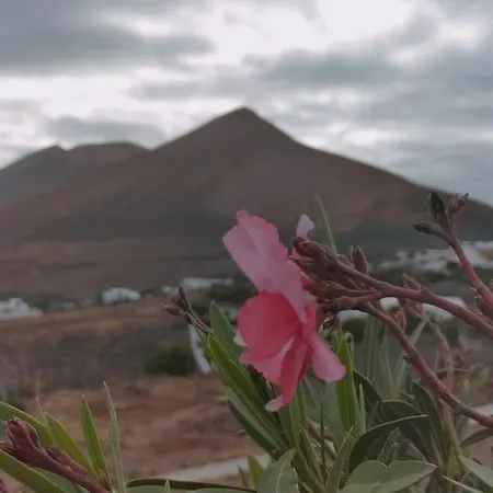 La Morreta I - Lanzarote Conil