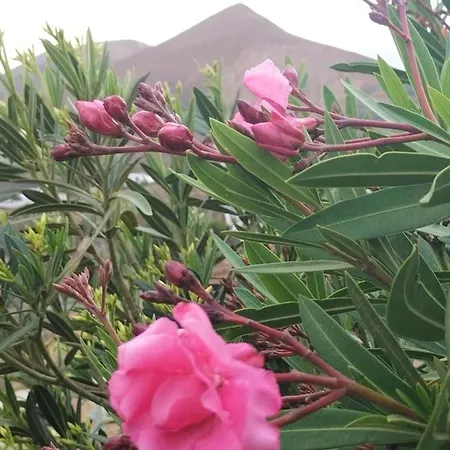 公寓 La Morreta I - Lanzarote