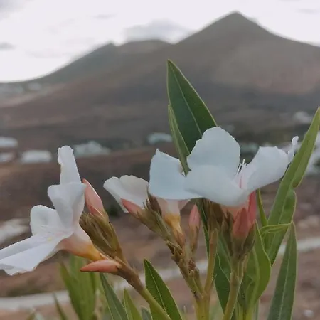 La Morreta I - Lanzarote * Conil