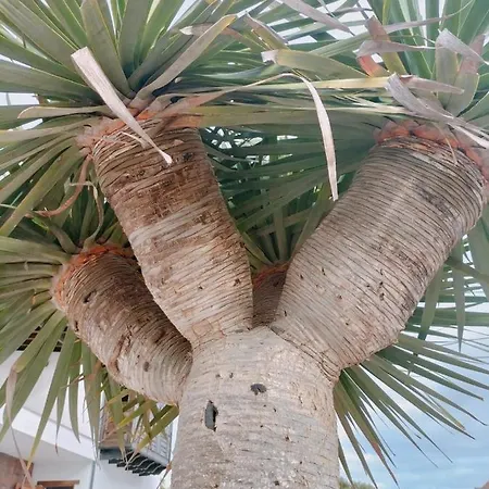 Apartament La Morreta I - Lanzarote