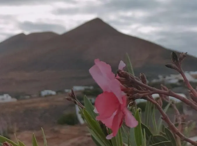 La Morreta I - Lanzarote Conil